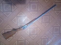 ИЖ-43, 12 калибра