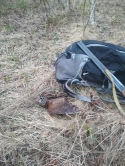 ИЖ-43, 12х70, как новое