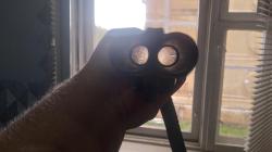 Иж 43 м штучное