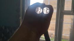 Иж 43 м штучное