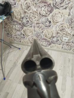 Иж 43