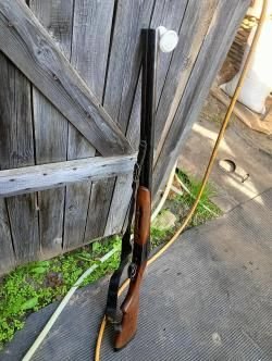 Иж 43