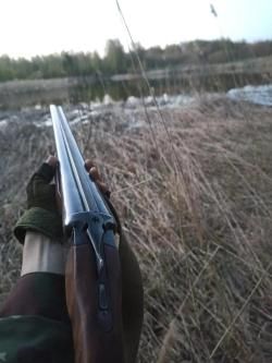 ИЖ-43