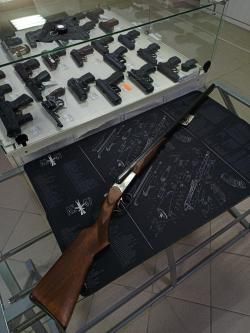 ИЖ-43Е, кл. 12Х70