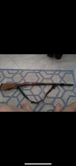 ИЖ 43Е