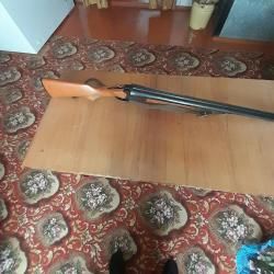 Иж-43ЕМ