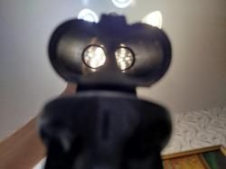 ИЖ 43м