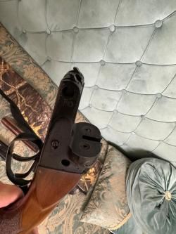 ИЖ 49 калибр 16