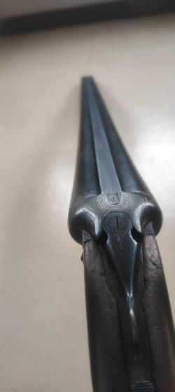 иж 49