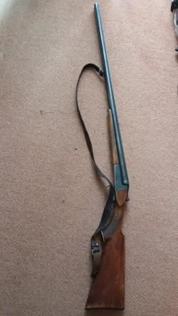 ИЖ 56, калибр 16.