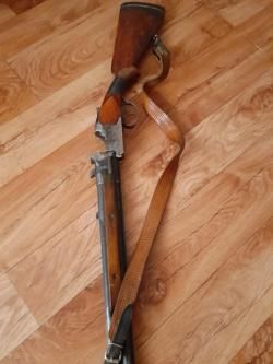 ИЖ-59 Спутник