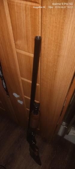 Иж-81 дерево орех