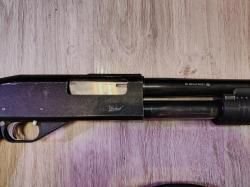 ИЖ 81 Фокстерьер