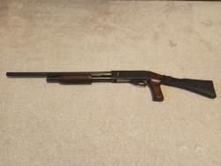 Иж 81 фокстерьер