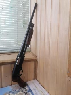 Иж-81 кал-12