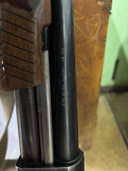 ИЖ-81, калибр 12