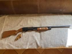 иж 81