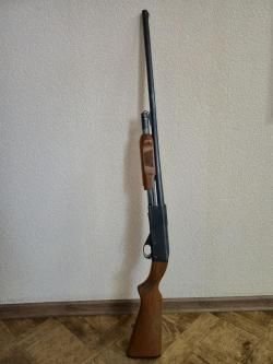 ИЖ 81