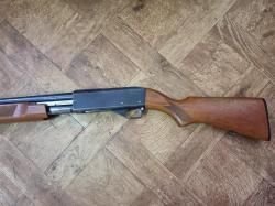 ИЖ 81