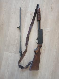 ИЖ-81