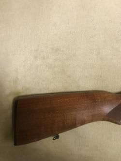 Иж-81