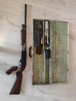 Иж-81