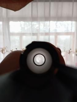 ИЖ 81