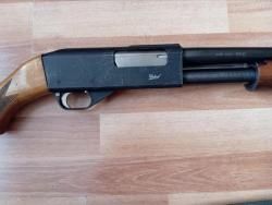 ИЖ 81