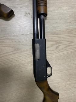 ИЖ-81