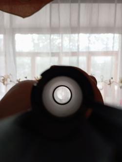 ИЖ 81