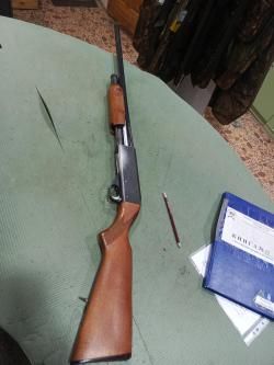 Иж 81