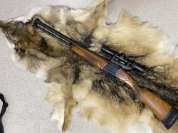 Иж-94(12/70 и308WIN)