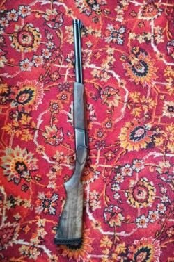 Иж 94 "север"