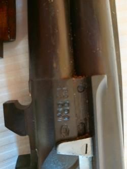 ИЖ 94 "тайга"