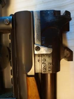 ИЖ 94 "тайга"