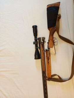 ИЖ 94 (тайга)