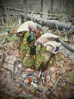 ИЖ27 ЕМ 1С 20калибр