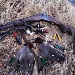 ИЖ27 ЕМ 1С 20калибр