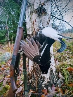 ИЖ27 ЕМ 1С 20калибр