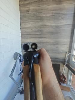 ИЖ43Е