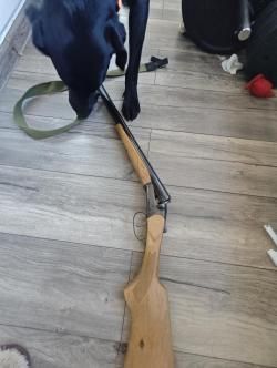 ИЖ43Е