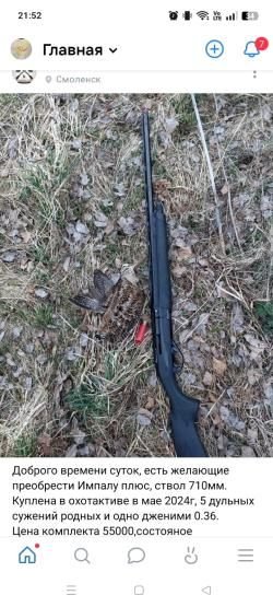 Импала Плюс