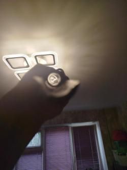 Импала стандарт 20х76 760