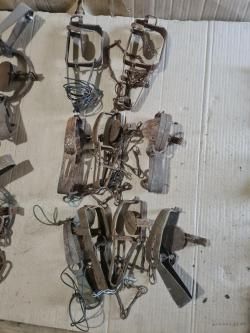 Капкан промысловый.