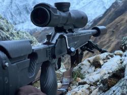 Карабин АТ Р8