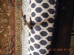 Карабин Беркут 2М-1 7.62x54R 