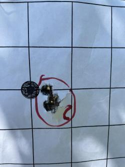 Карабин CZ 550 LUX калибр 30-06 