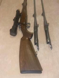 карабин Haym SR 21N