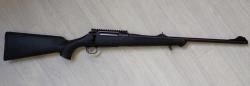 Sauer100
