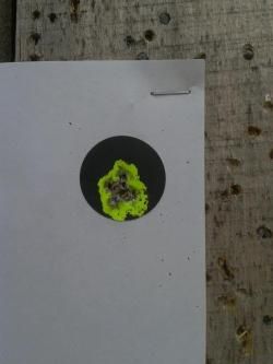 Карабин Seckin MS 18 (AR15), калибр 223 Rem., L=450
